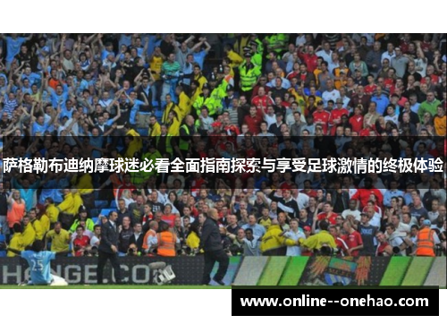 萨格勒布迪纳摩球迷必看全面指南探索与享受足球激情的终极体验