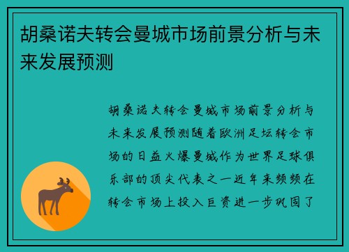 胡桑诺夫转会曼城市场前景分析与未来发展预测 胡桑诺夫转会曼城市场前景分析与未来发展预测