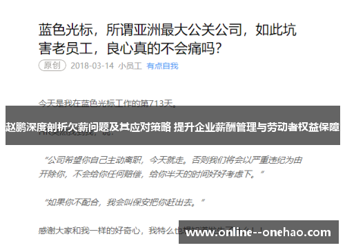 赵鹏深度剖析欠薪问题及其应对策略 提升企业薪酬管理与劳动者权益保障