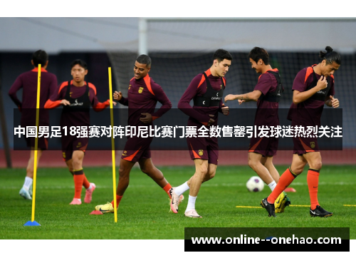 中国男足18强赛对阵印尼比赛门票全数售罄引发球迷热烈关注